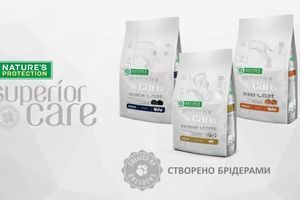 Корм для білих собак