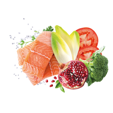 Exclusion Adult Salmon корм для взрослых собак всех пород с лососем 400 г