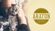 Повноцінний сухий корм для дорослих активних собак усіх порід ARATON ACTIVE All Breeds 15кг