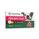 Антигельмінтні таблетки Празистан Vitomax для собак з ароматом м'яса (10 табл.)