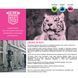 CAT ADULT ЛОСОСЬ & КАРТОПЛЯ GRAIN FREE ПОВНОЦІННИЙ БЕЗЗЕРНОВИЙ КОРМ ДЛЯ ДОРОСЛИХ КІШОК ВІД 12 МІСЯЦІВ 2кг