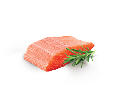 Повноцінний сухий корм з лососем для дорослих котів ARATON SALMON Adult All Breeds 1,5кг