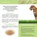 CAT KITTEN КУРКА & РИС ПОВНОЦІННИЙ КОРМ ДЛЯ КОТЕНЯТ ВІКОМ ВІД 2 ДО 12 МІСЯЦІВ, А ТАКОЖ ДЛЯ ВАГІТНИХ І ЛАКТУЮЧИХ КІШОК 2кг