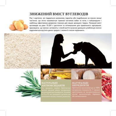 ADULT GIANT КУРКА ТА РИС ПОВНОЦІННИЙ КОРМ ДЛЯ ДОРОСЛИХ СОБАК ВЕЛИКИХ ПОРОД ВІД 18 МІСЯЦІВ 12кг